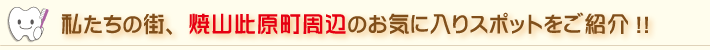 私たちの街、呉市周辺のお気に入りスポットをご紹介